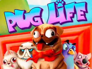 Pug Life thumbnail
